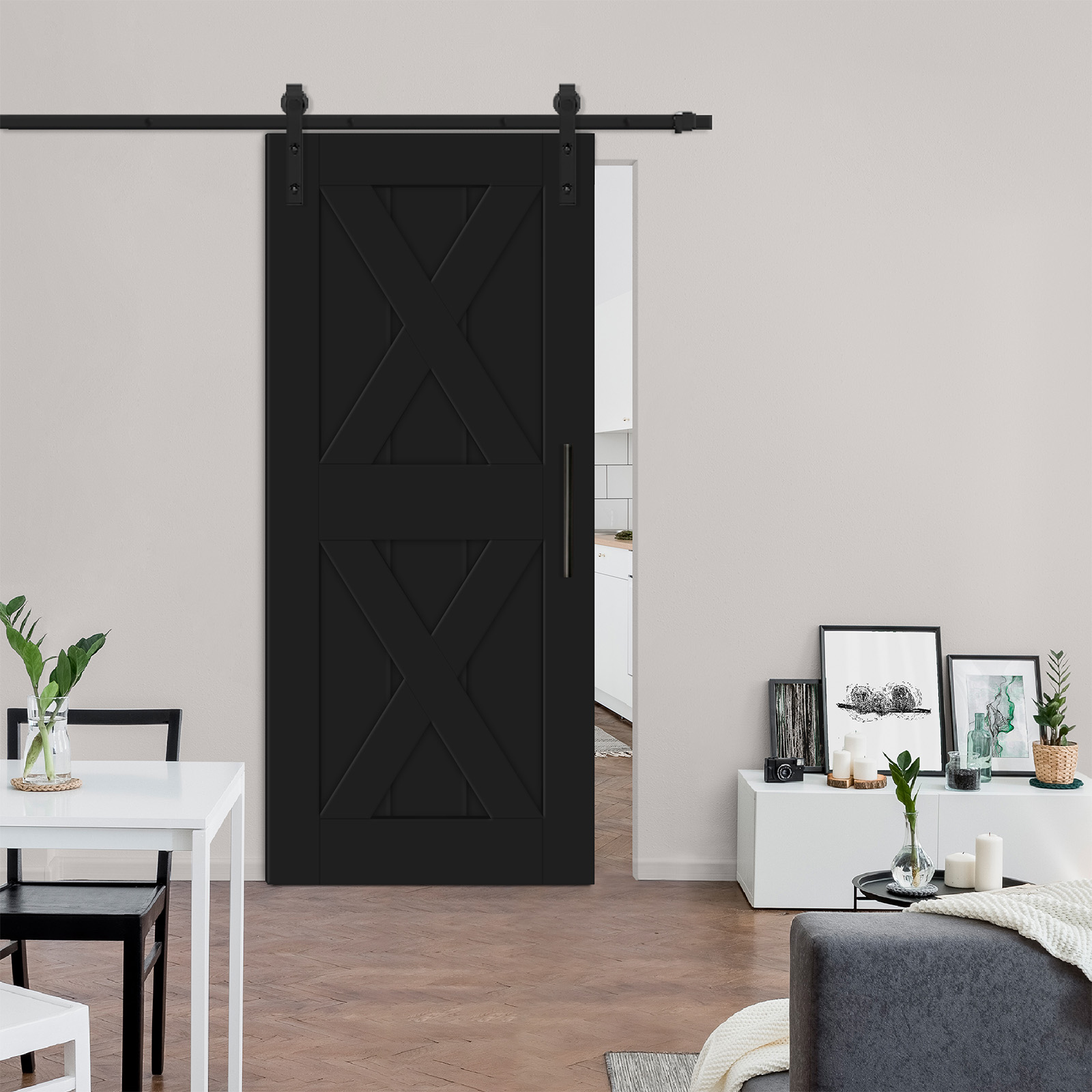 Double barn door X with rear recessed mirror (Black) Carbon Steel
