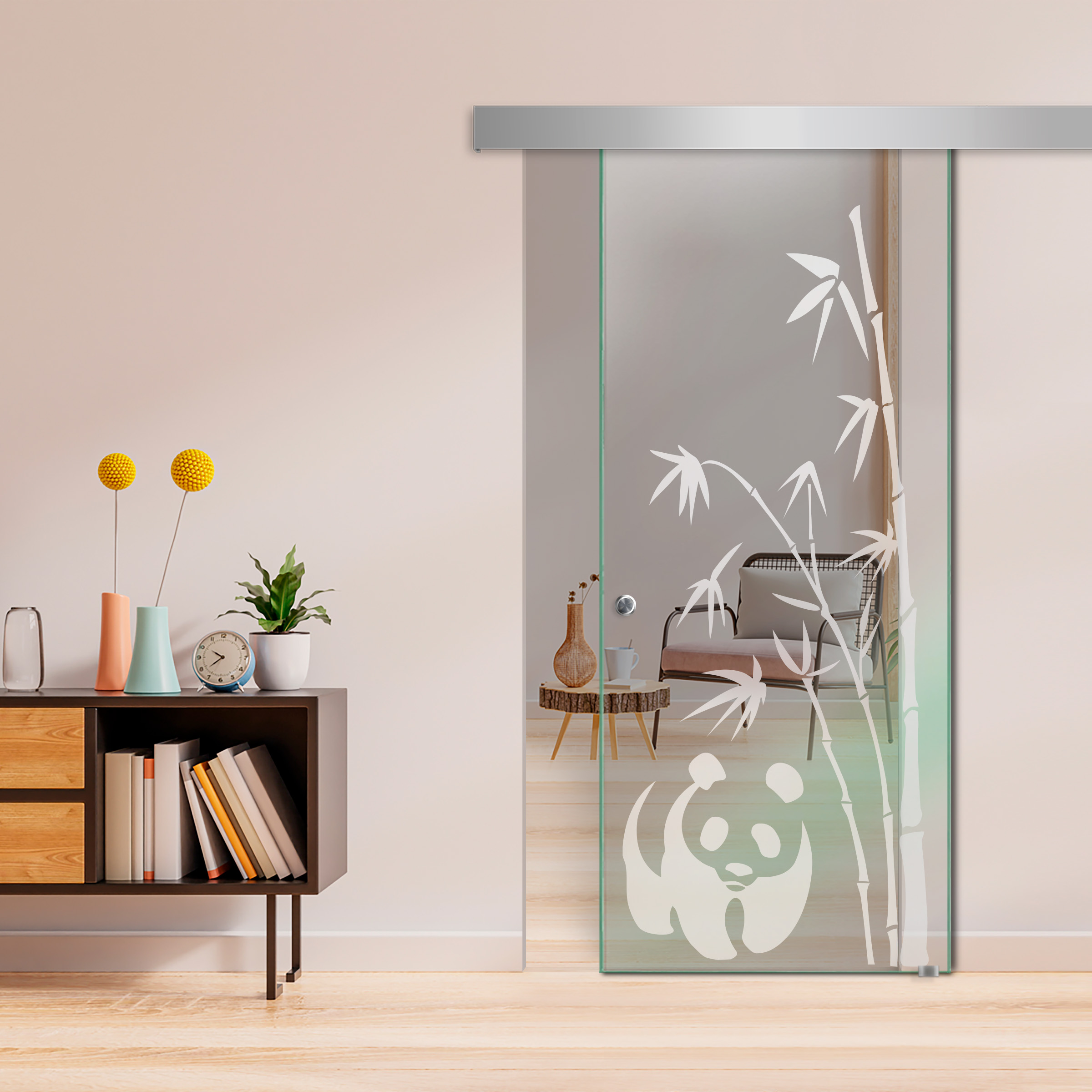 Sliding Glass Barn Door  ALU100 (Non Private)