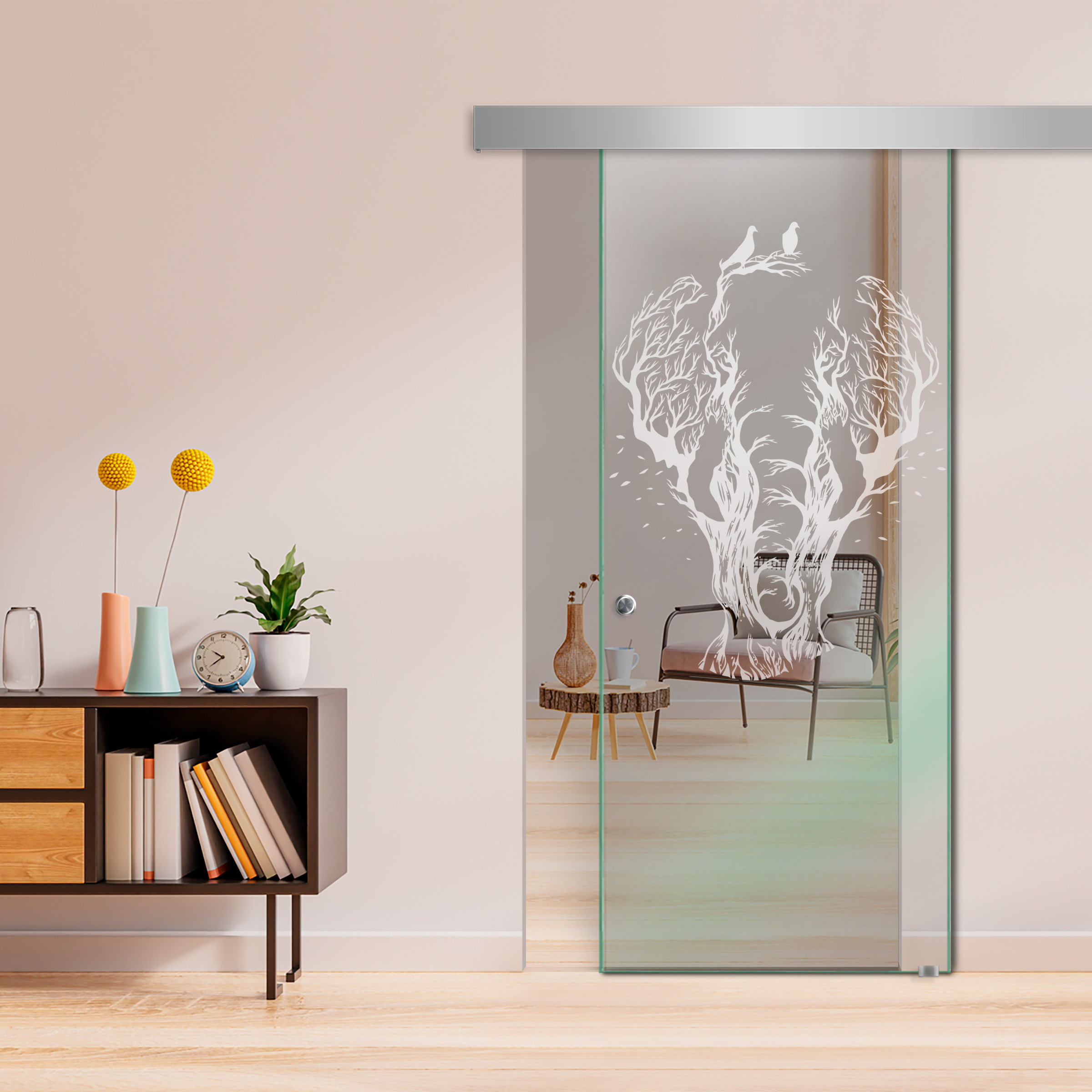 Sliding Glass Barn Door  ALU100 (Non Private)