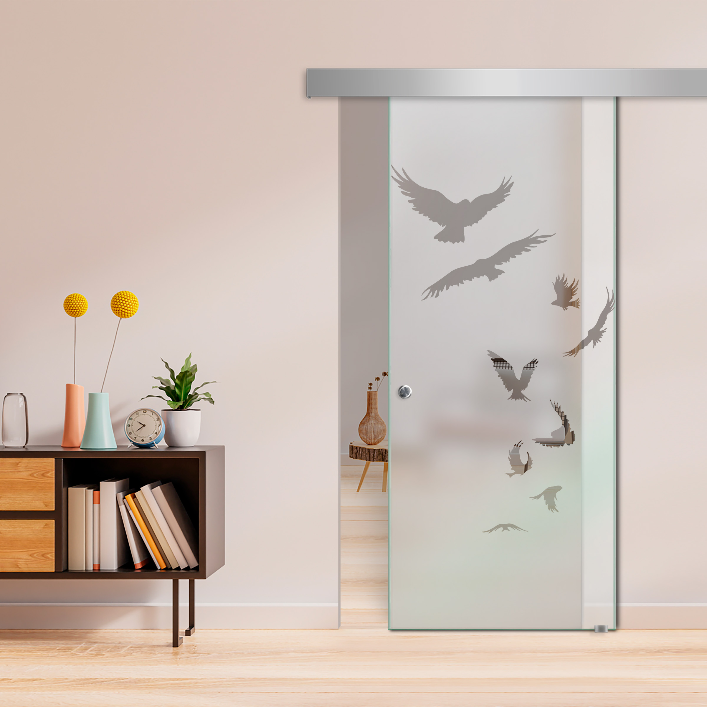 Sliding Glass Barn Door  ALU100 (Semi Private)
