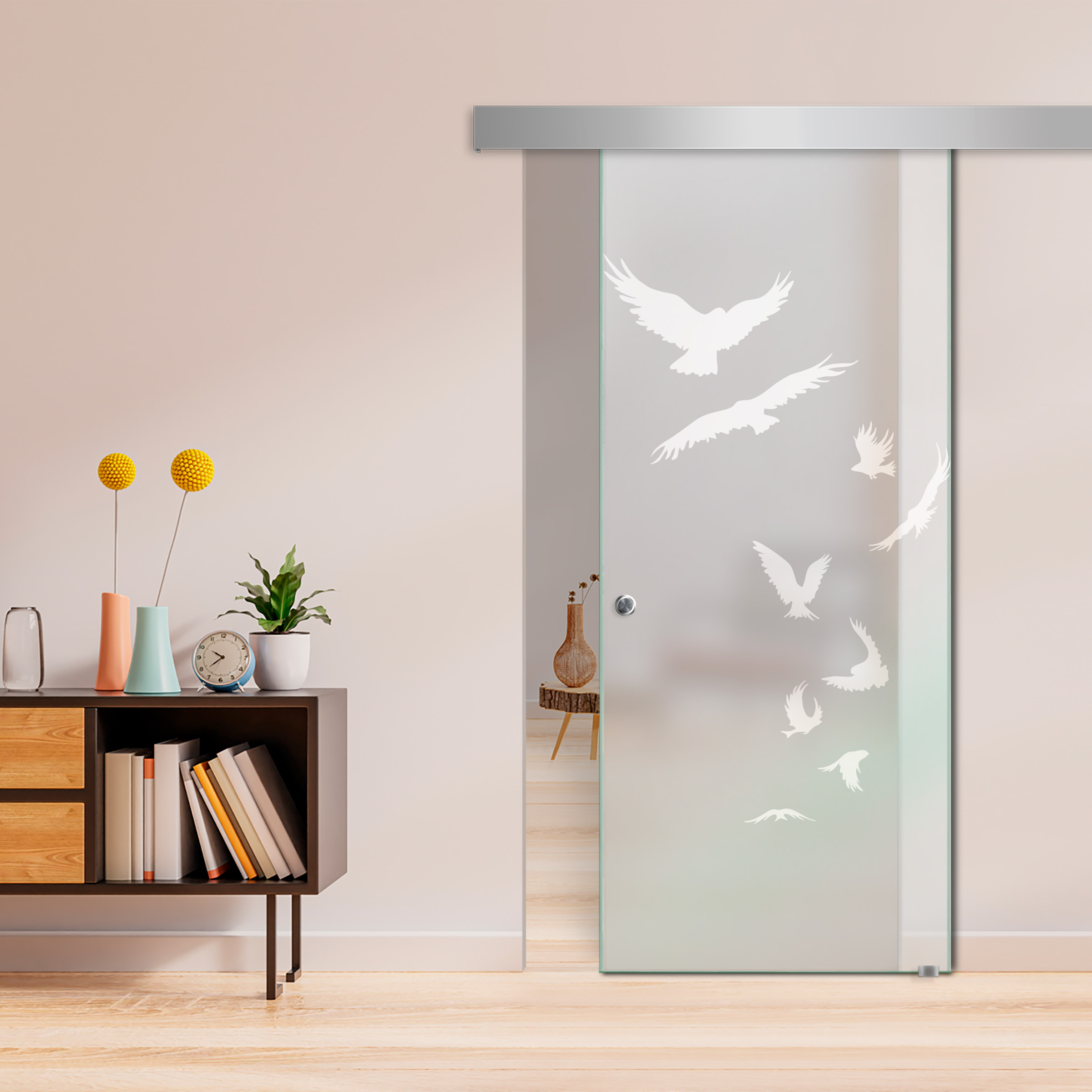 Sliding Glass Barn Door  ALU100 (Full Private)