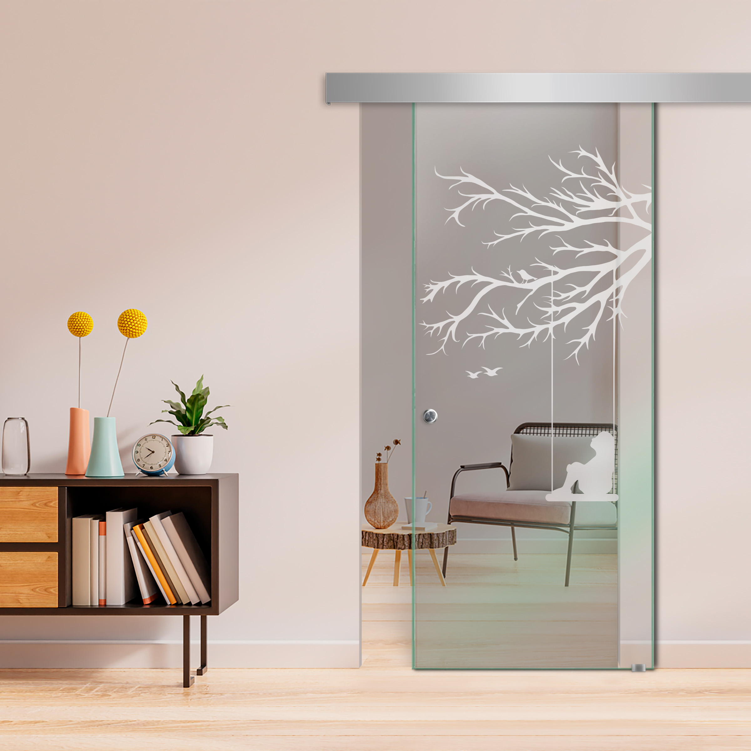 Sliding Glass Barn Door  ALU100 (Non Private)