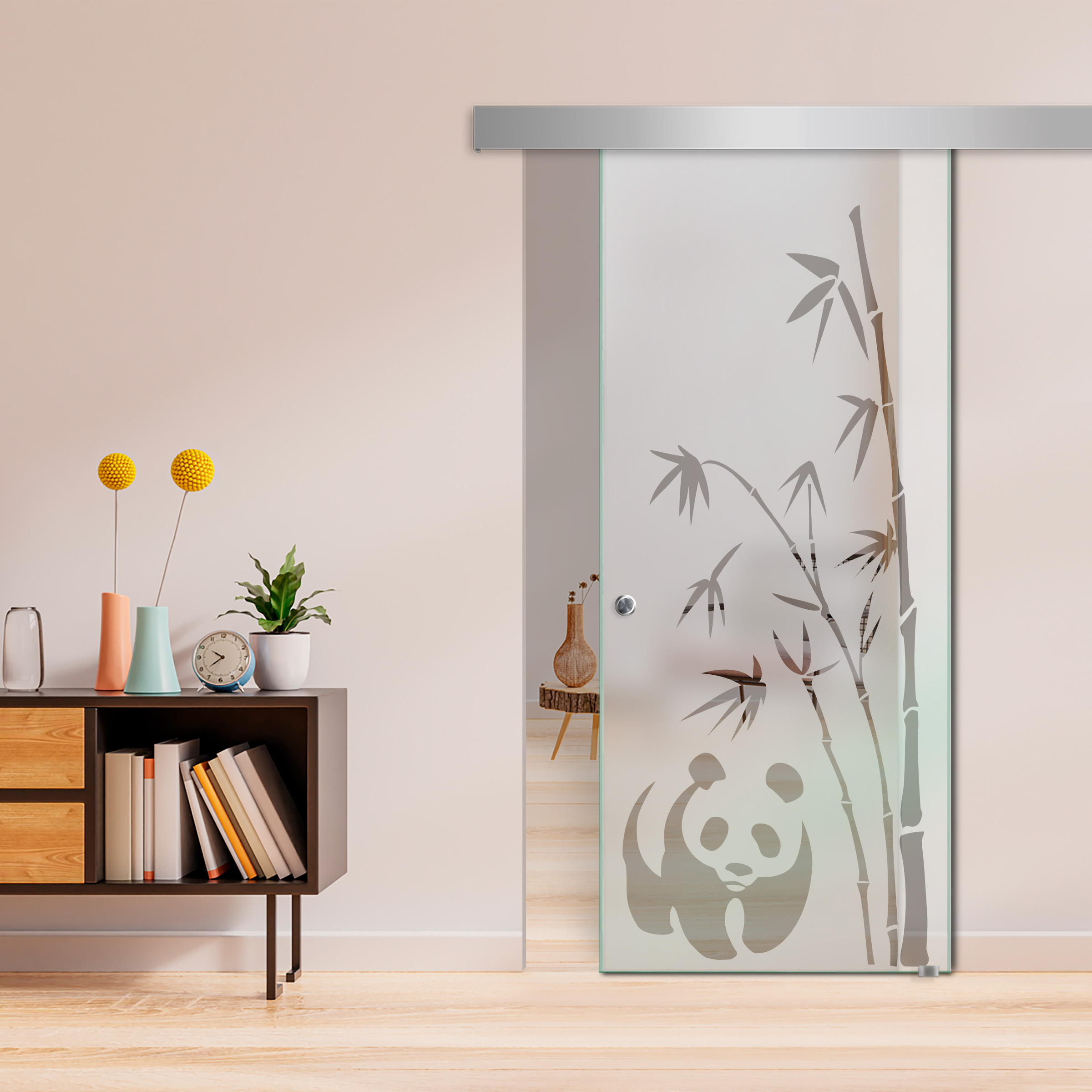 Sliding Glass Barn Door  ALU100 (Semi Private)