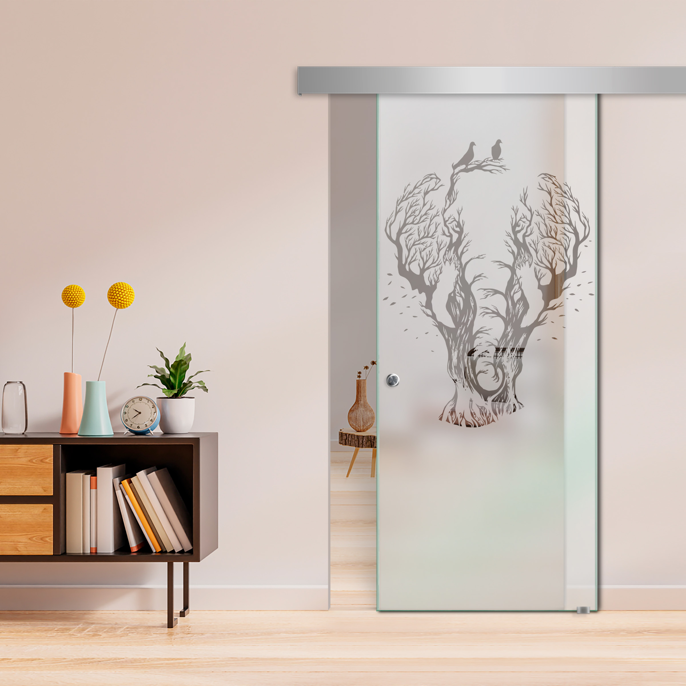 Sliding Glass Barn Door  ALU100 (Semi Private)