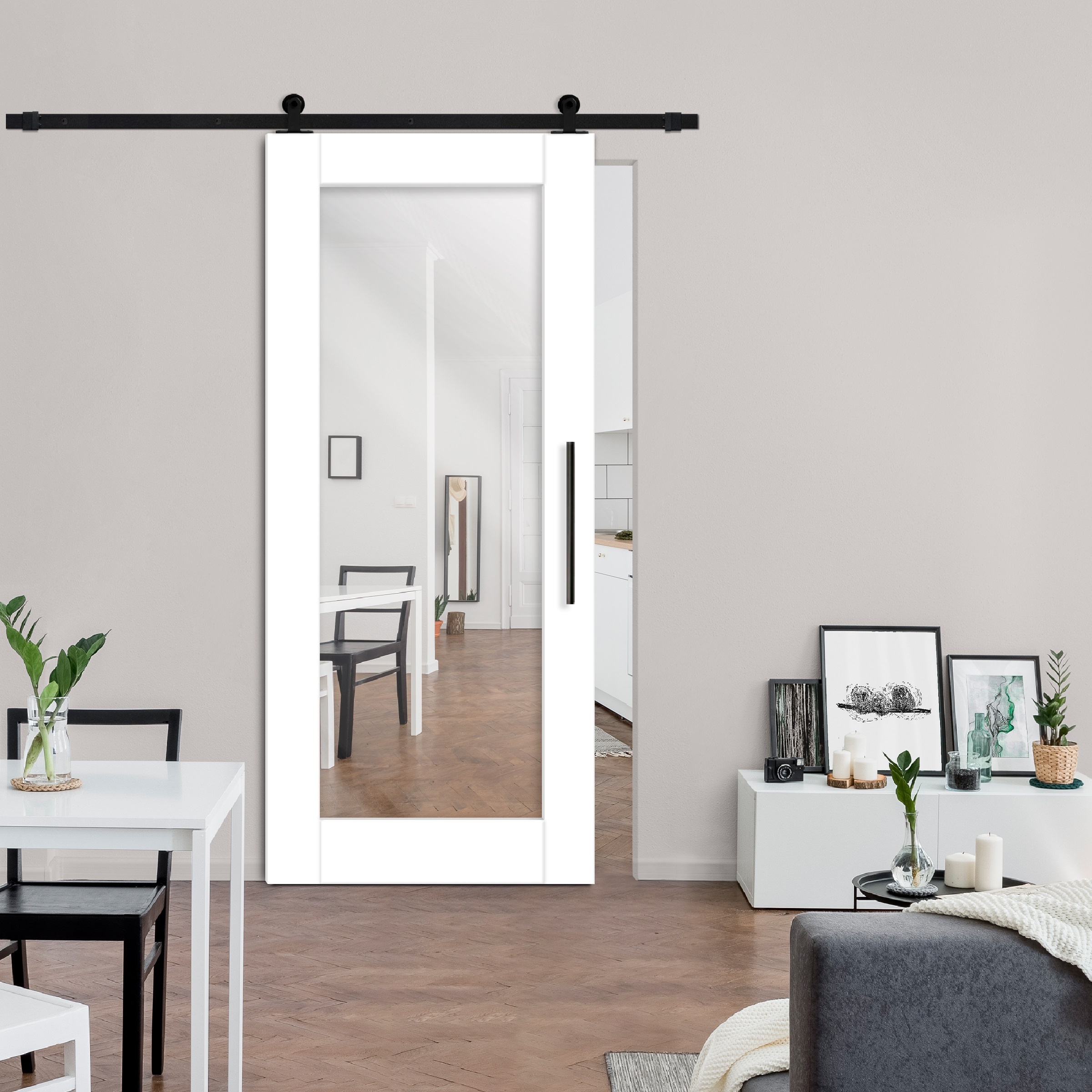 Mirror Sliding Barn Door with Mirror Insert (Carbon Steel)