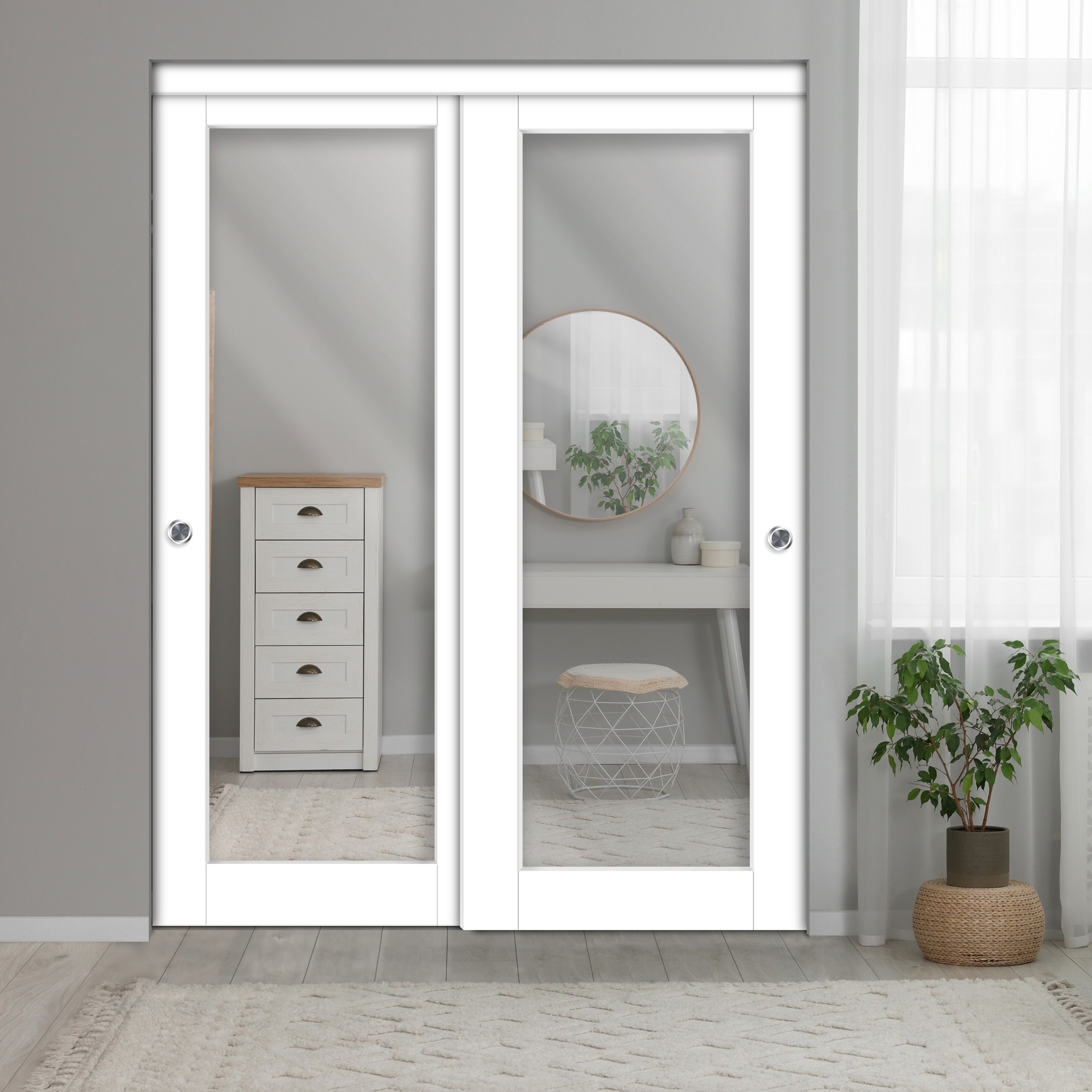 2-Leaf Sliding Closet Barn Door with Mirror Insert 