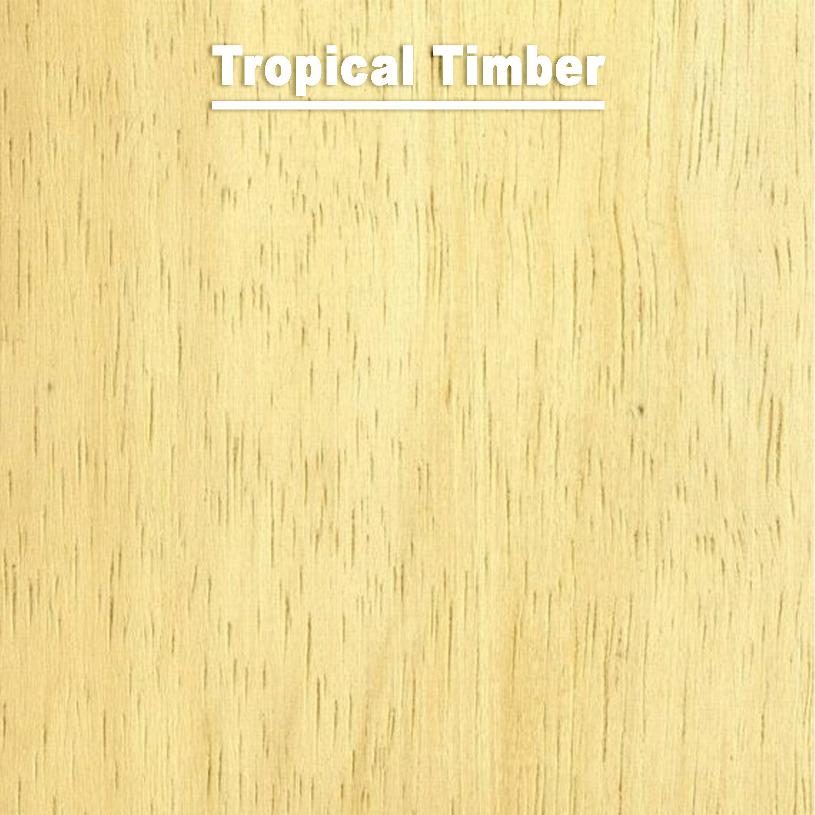 Wood Type: Tropical Timber