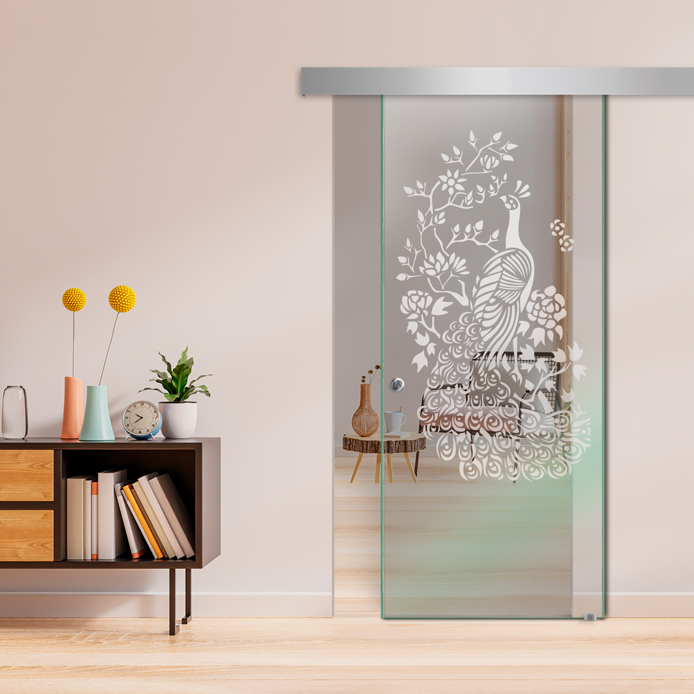 Sliding Glass Barn Door  ALU100 (Non Private)