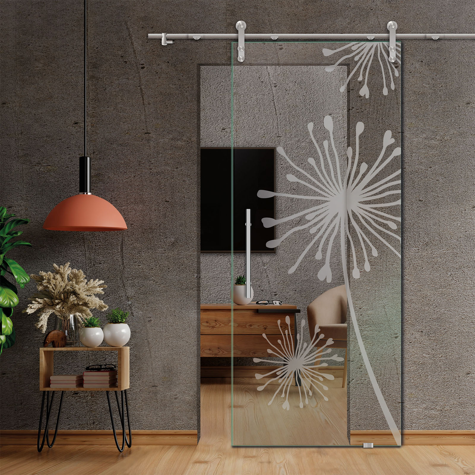 Sliding Glass Barn Door (Non-private)