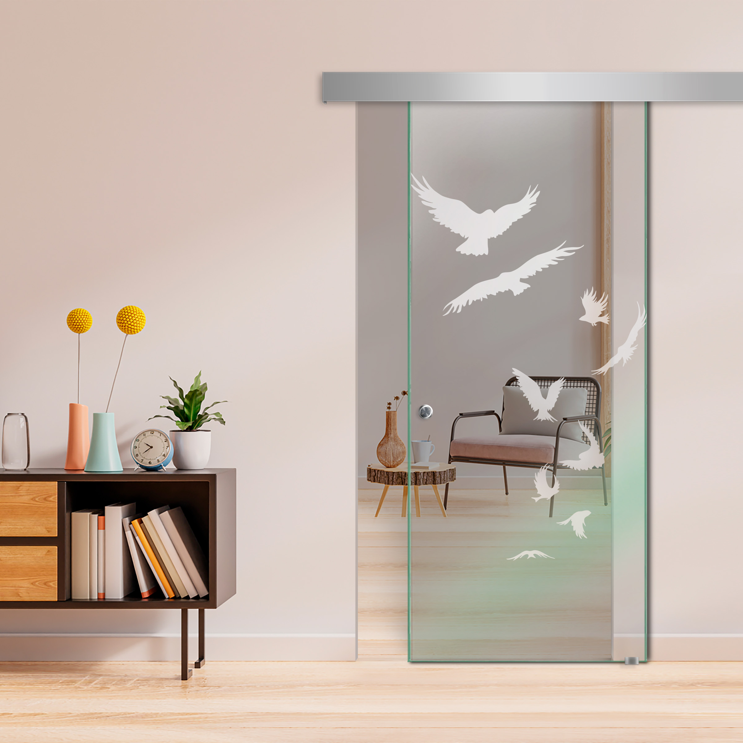 Sliding Glass Barn Door  ALU100 (Non Private)