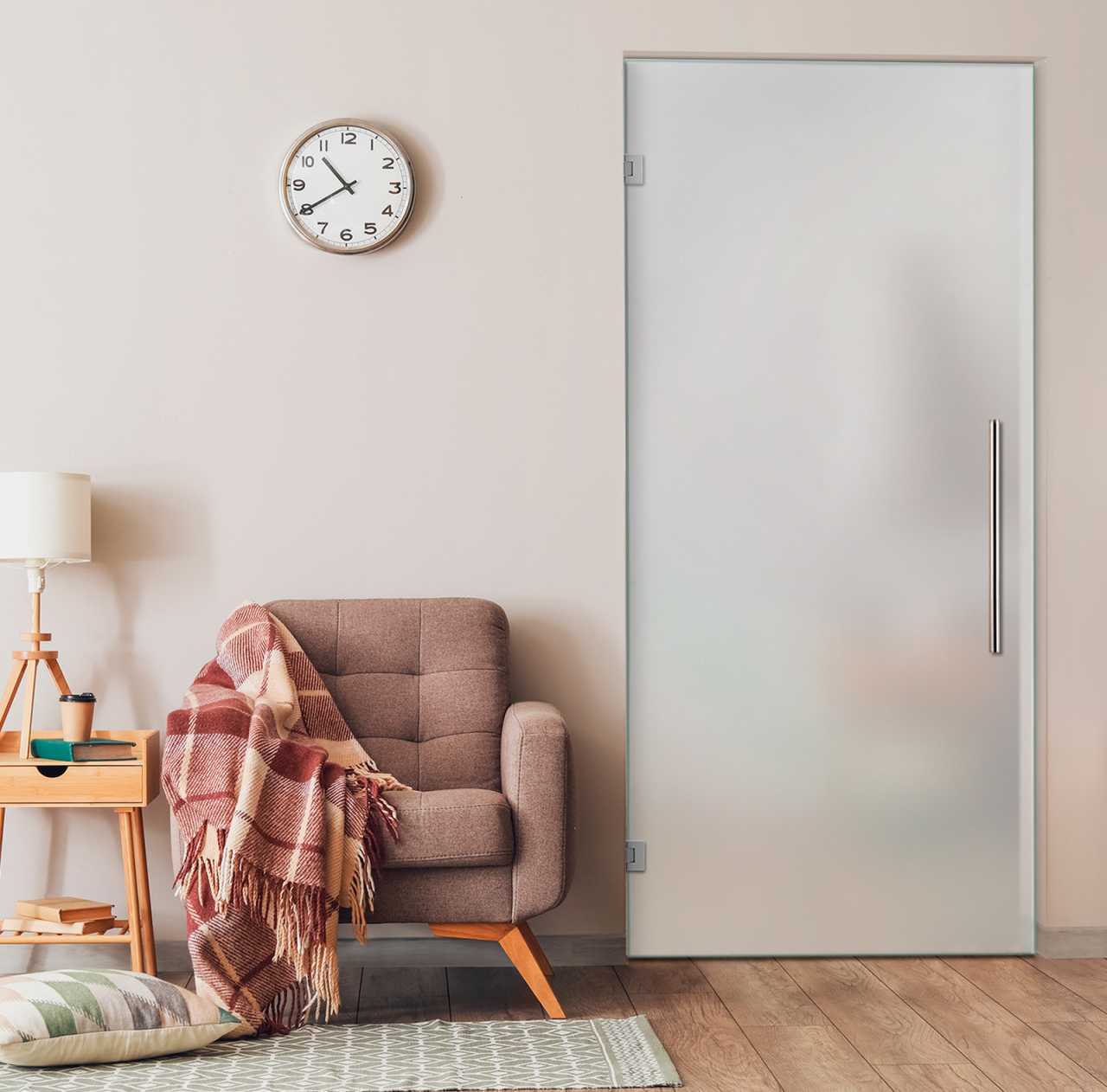 Frosted Glass Swing Door SD-5906