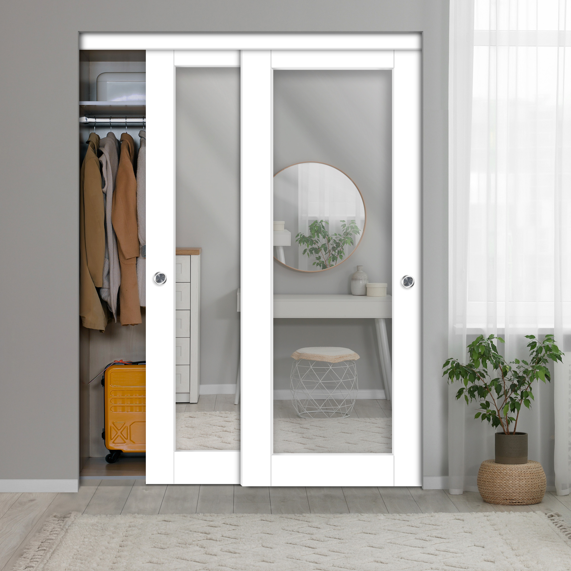 2-Leaf Sliding Closet Barn Door with Mirror Insert 