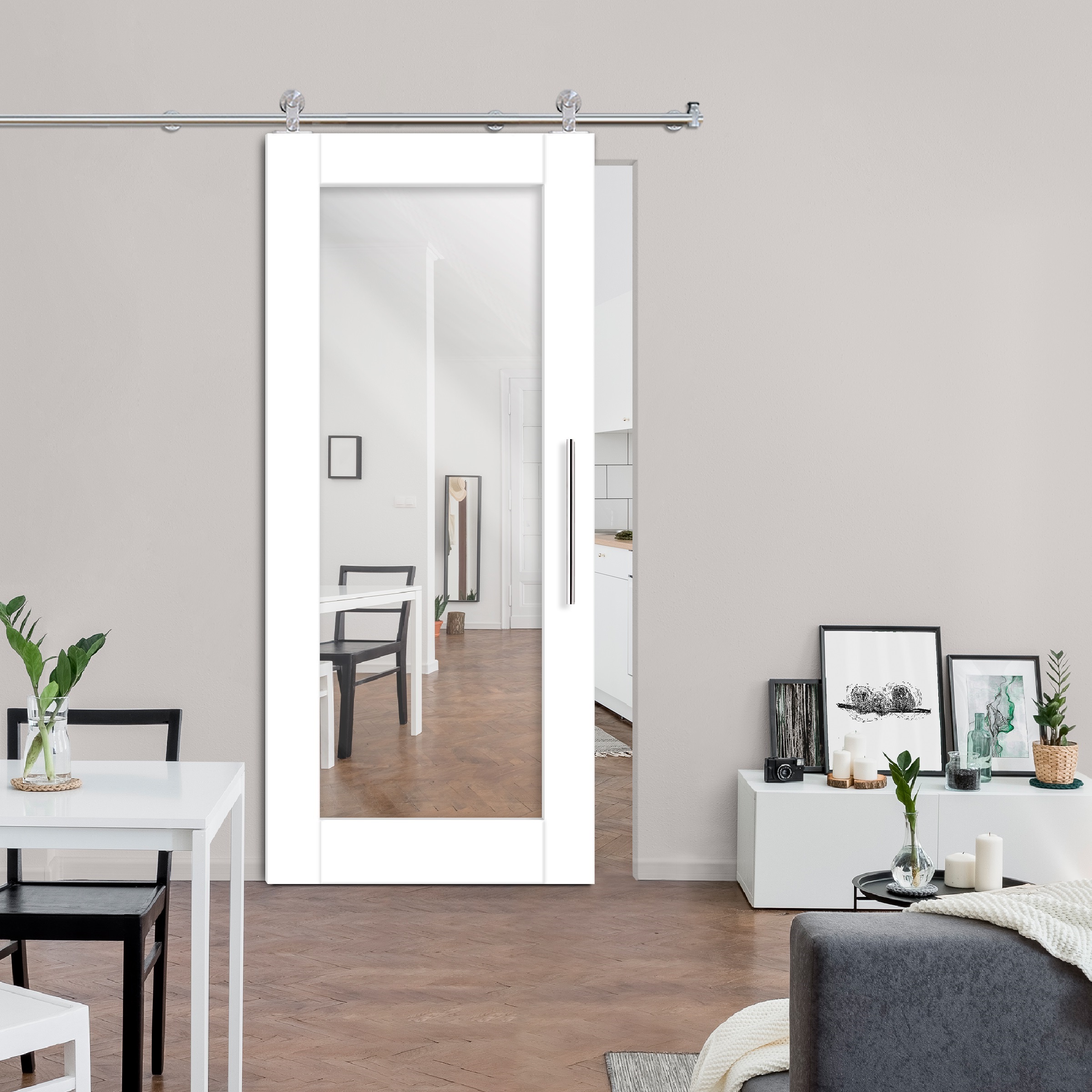 Mirror Sliding Barn Door with Mirror Insert (Stainless Steel)