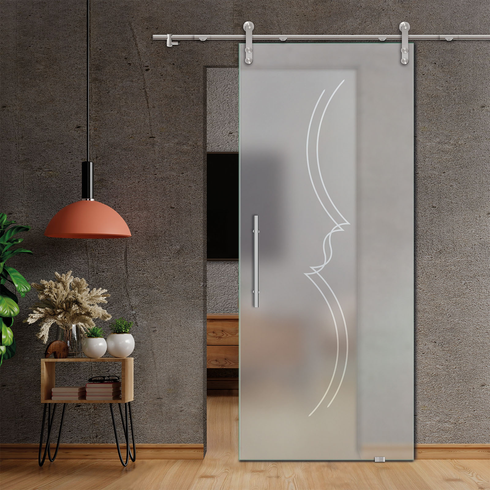 Sliding Glass Barn Door (Full-private)
